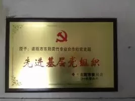 先进基层党组织